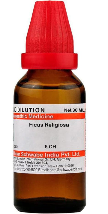 Dr Willmar Schwabe India Ficus Religiosa Dilution - 6 CH |FIRE106F|