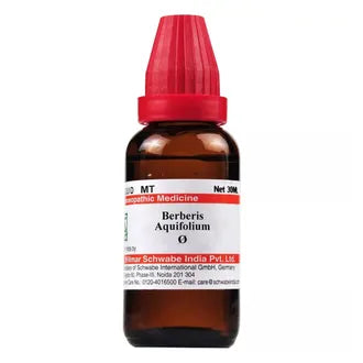 Dr.Willmar Schwabe Berberis Aquifolium Q Mother Tincture, 30 ml