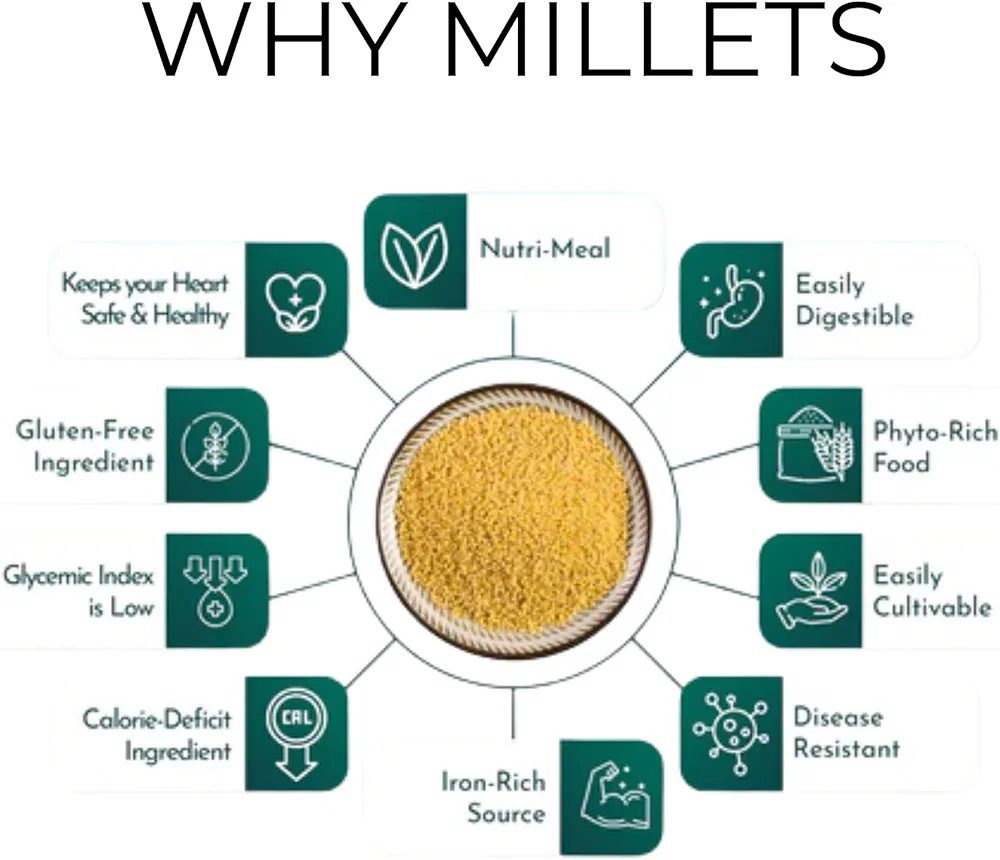 DryM Foods Instant Millet Biryani