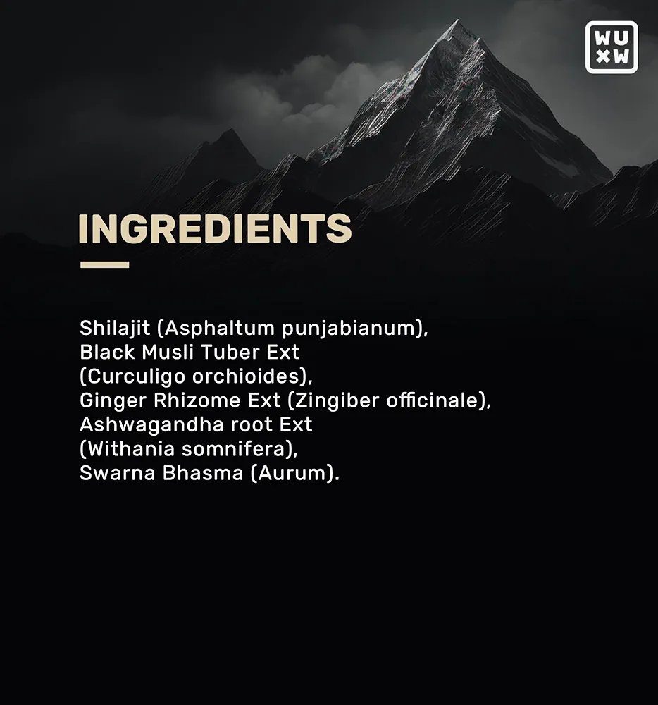 What’s Up Wellness Shilajit/Shilajeet Gummies - 30 pcs