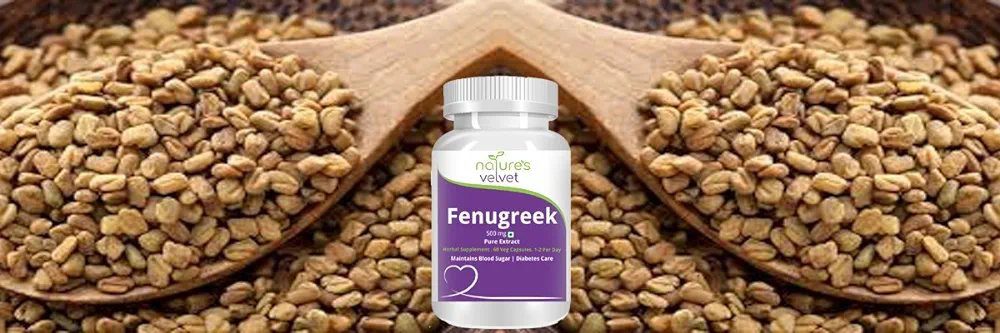 Nature's Velvet Lifecare Fenugreek Pure Extract (500 mg), 60 veggie capsules