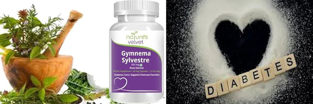 Natures Velvet Lifecare Gymnema Sylvestre Pure Extract 500 mg, 60 Veggie Capsules