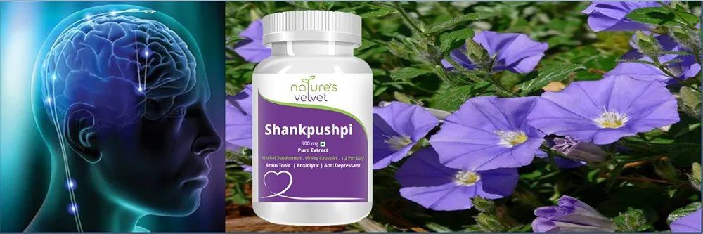 Natures Velvet Lifecare Shankpushpi Pure Extract 500 mg, 60 Veggie Capsules