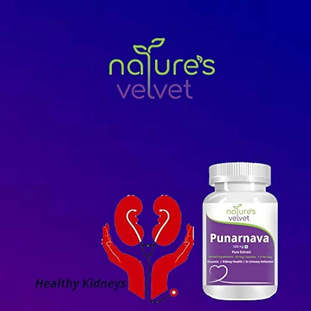 Natures Velvet Lifecare Punarnava Pure extract 500 mg 60 Capsules