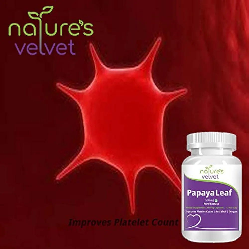 Nature's Velvet 500mg Papaya Pure extract 60 Veg Capsules