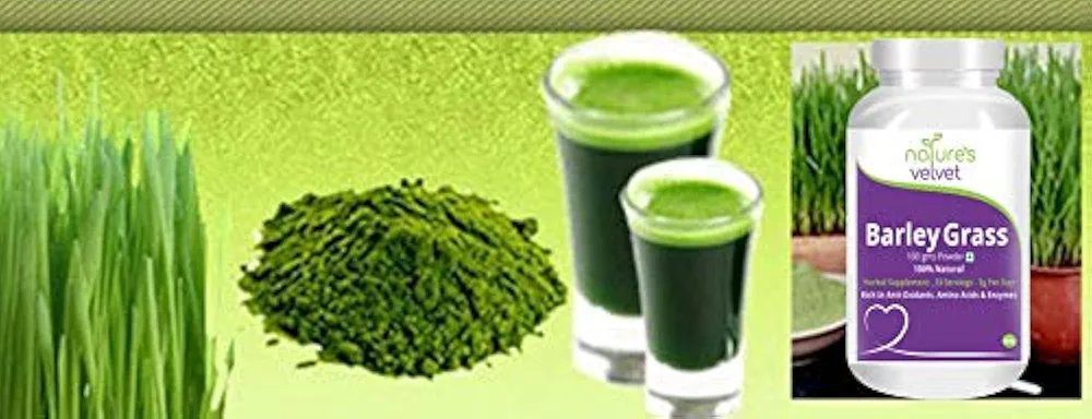 Natures Velvet Lifecare Barley Grass Powder, 100 gms