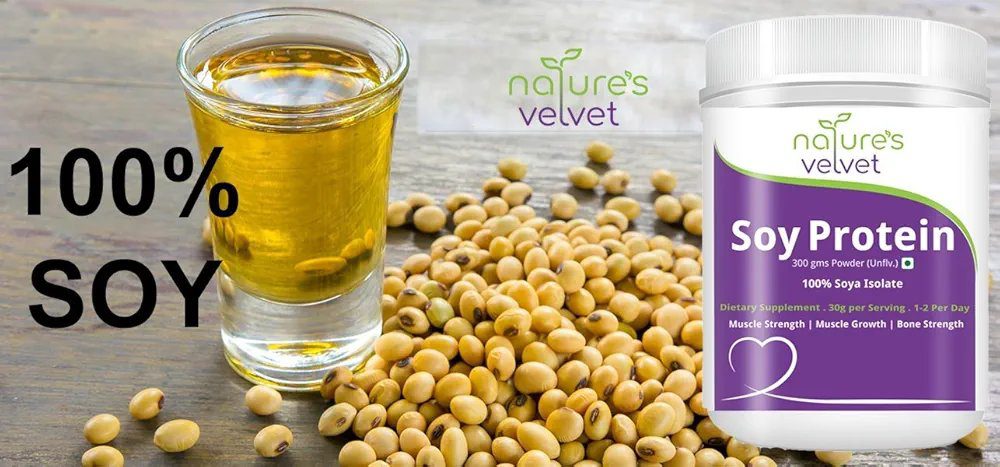 Natures Velvet Lifecare Soy Protein, Vegetarian and Natural, 300 gms