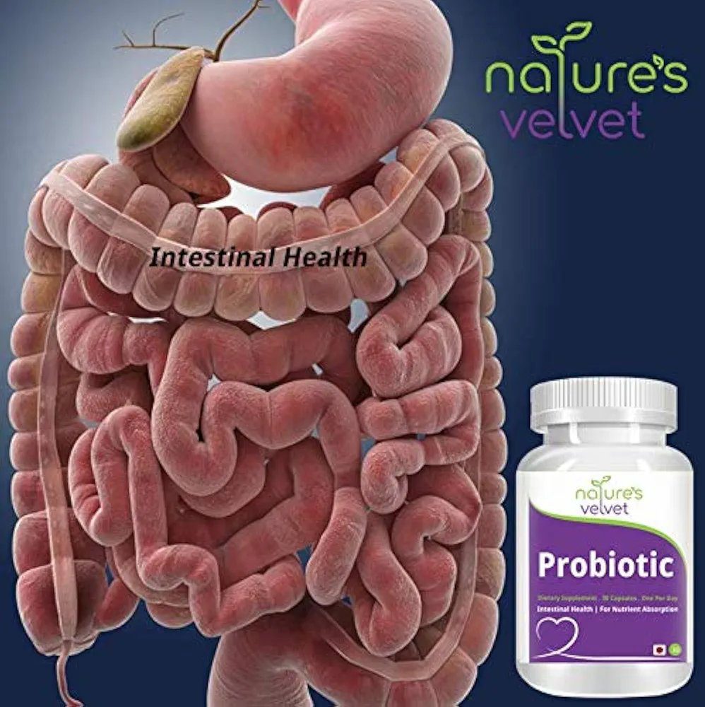 Natures Velvet Lifecare Probiotics for Digestive Health and Immunity - 30 Capsules