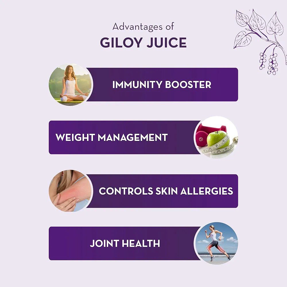 Baidyanath Asli Ayurved Giloy Juice Natura 1 Litre