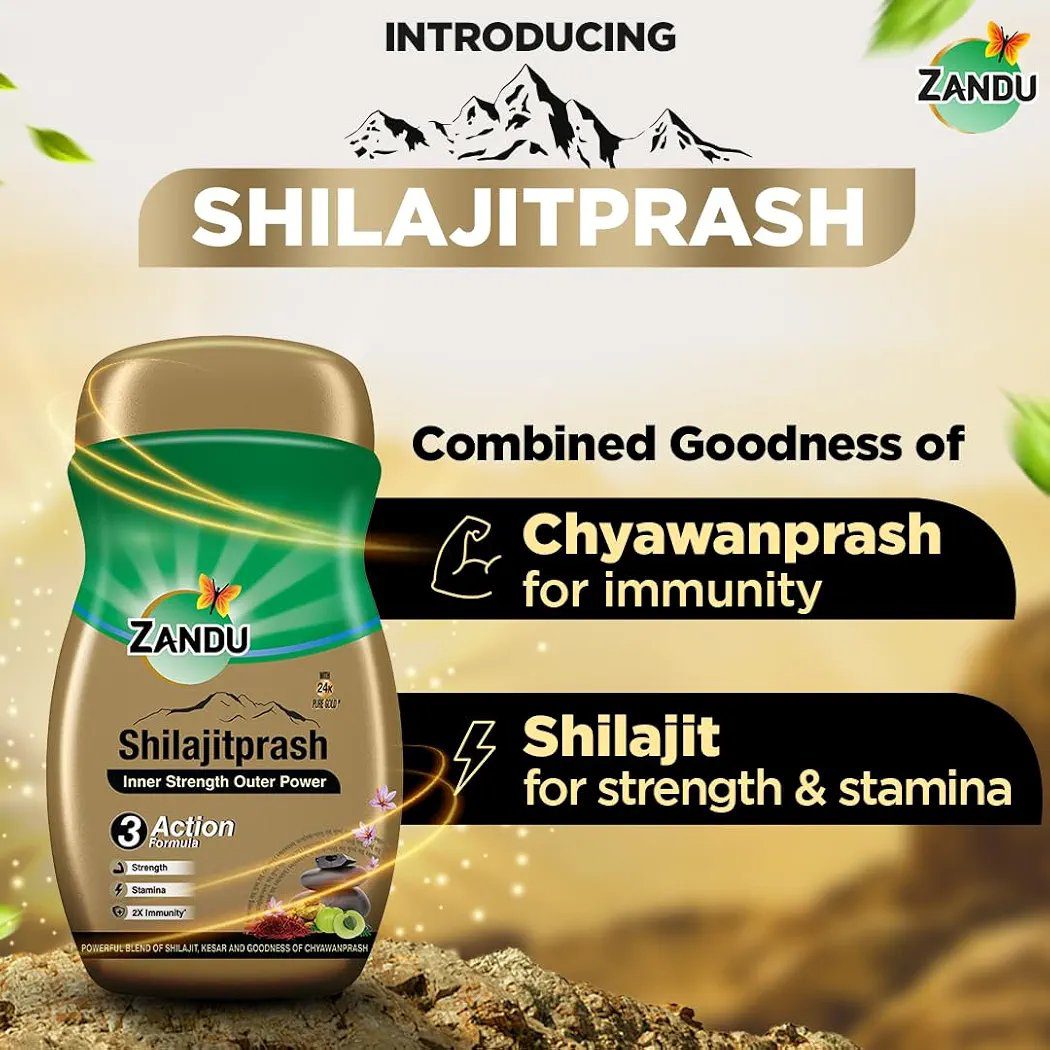 Zandu Shilajitprash -450g