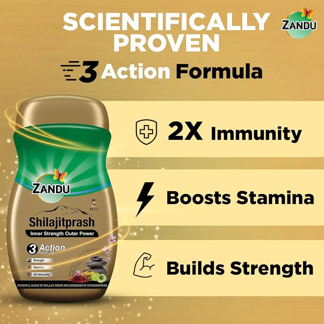 Zandu Shilajitprash -450g