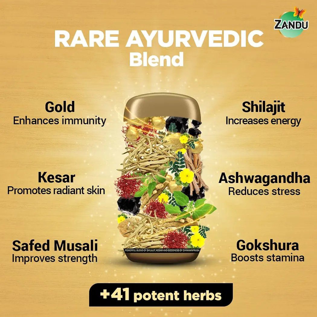 Zandu Shilajitprash -450g