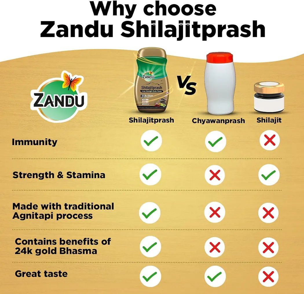 Zandu Shilajitprash -450g