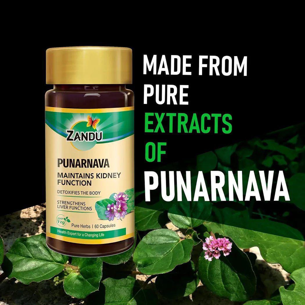 Zandu Punarnava Capsules - 60 Veg capsules