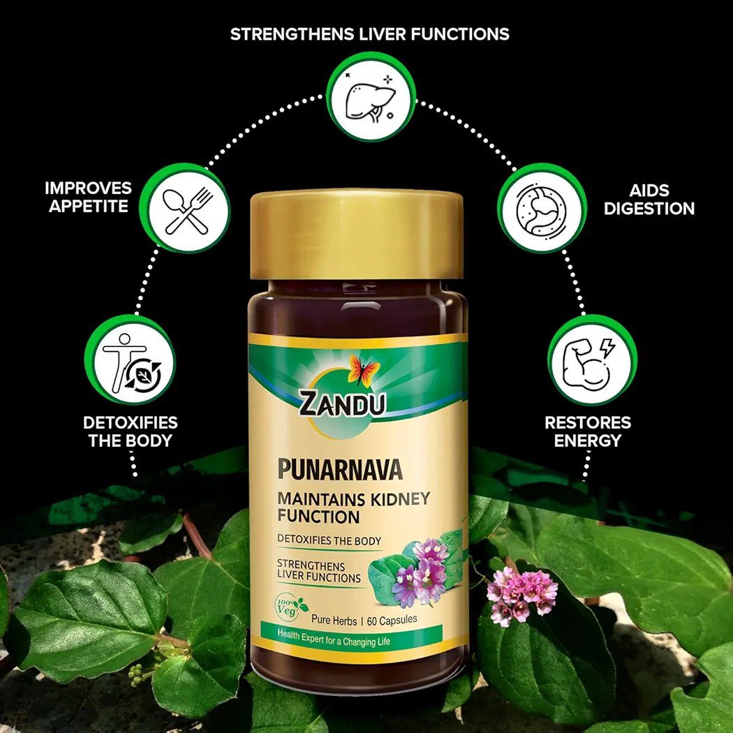 Zandu Punarnava Capsules - 60 Veg capsules