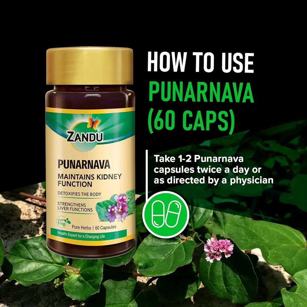 Zandu Punarnava Capsules - 60 Veg capsules