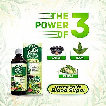 Dabur Jamun Neem Karela Juice - 1L