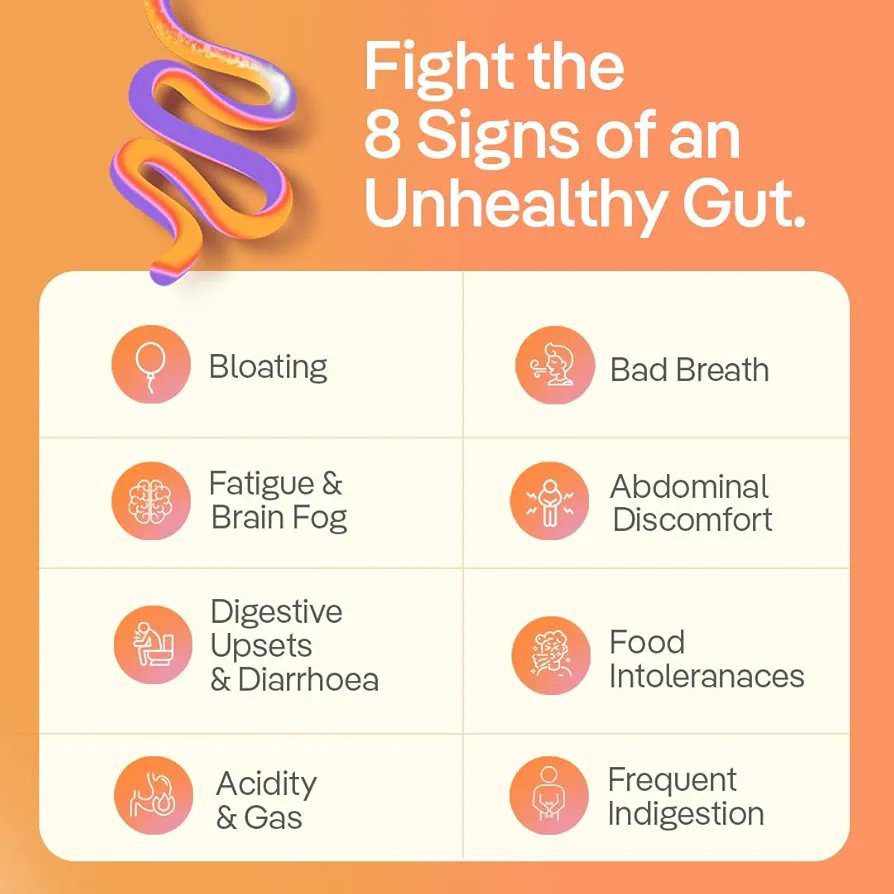 The Good Bug Gut Balance SuperGut Stick