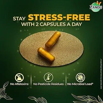 Zandu Ashwagandha Gold Plus Capsules(60)