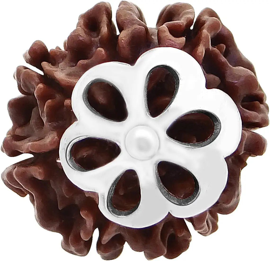 Arihant Gems and Jewels® Certified Natural 7 Mukhi/Faced Nepali Rudraksha Pendant in 925 Silver – Unisex Spiritual Jewelry