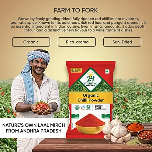 24 Mantra Organic Chilli Powder, 100 g Pouch