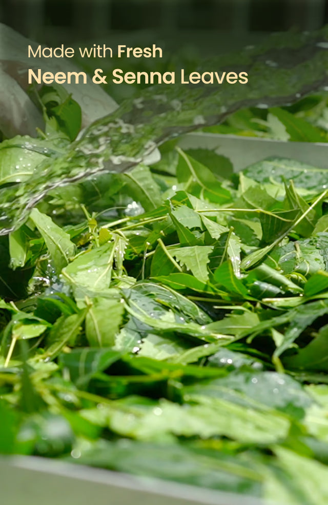 Nat Habit Neem Mauj Gulaal Raas