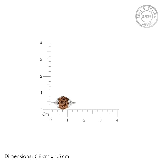 GIVA 925 Silver Sacred Rudraksha Rakhi