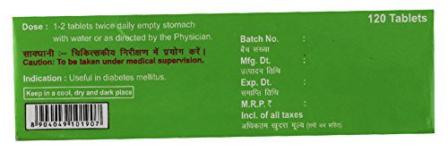 Divya Madhunashni Vati Extra Power - 60 g (120 Tablets)