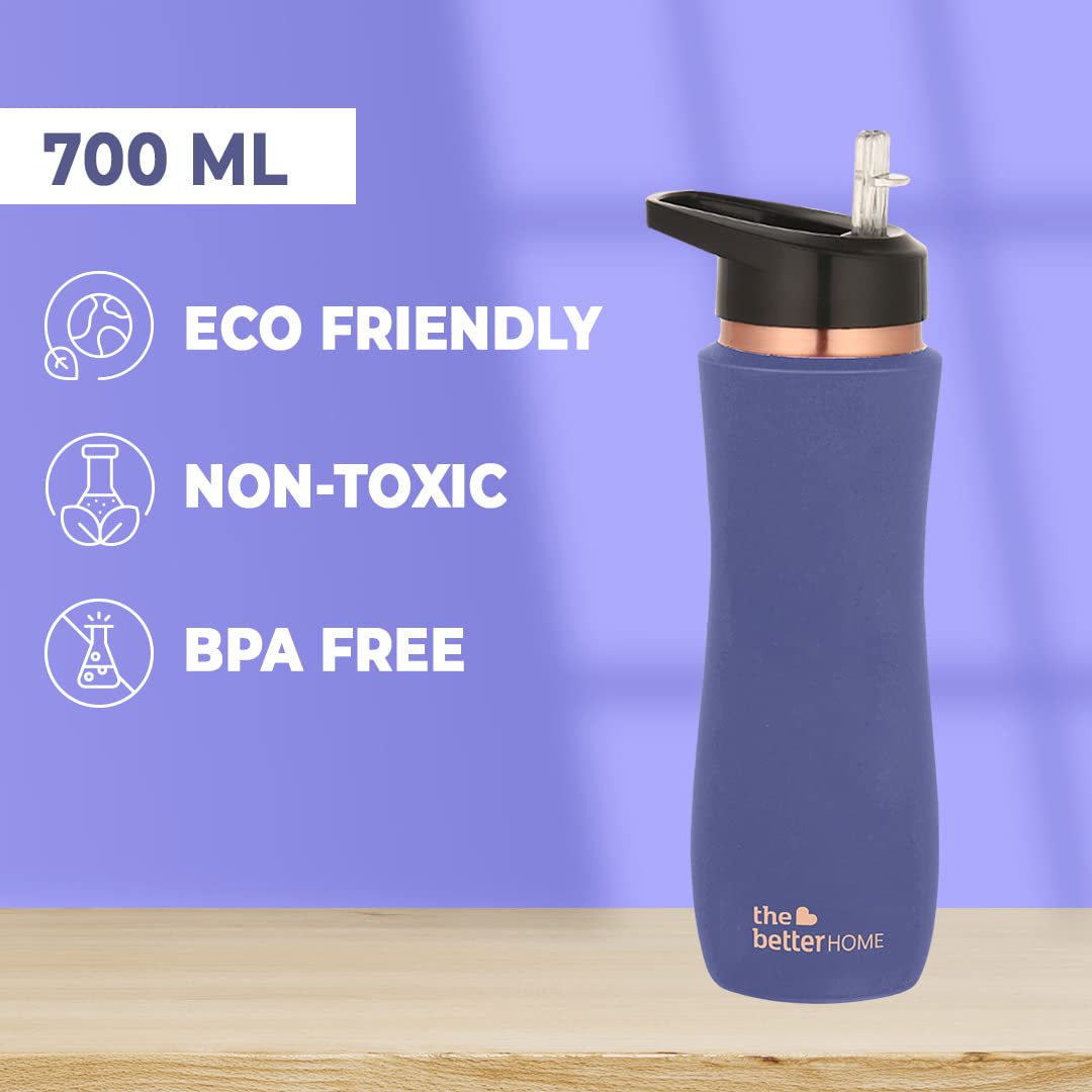 The Better Home Copper Water Bottle with Sipper (700ml), with Anti Oxidant Properties of Copper (Purple)