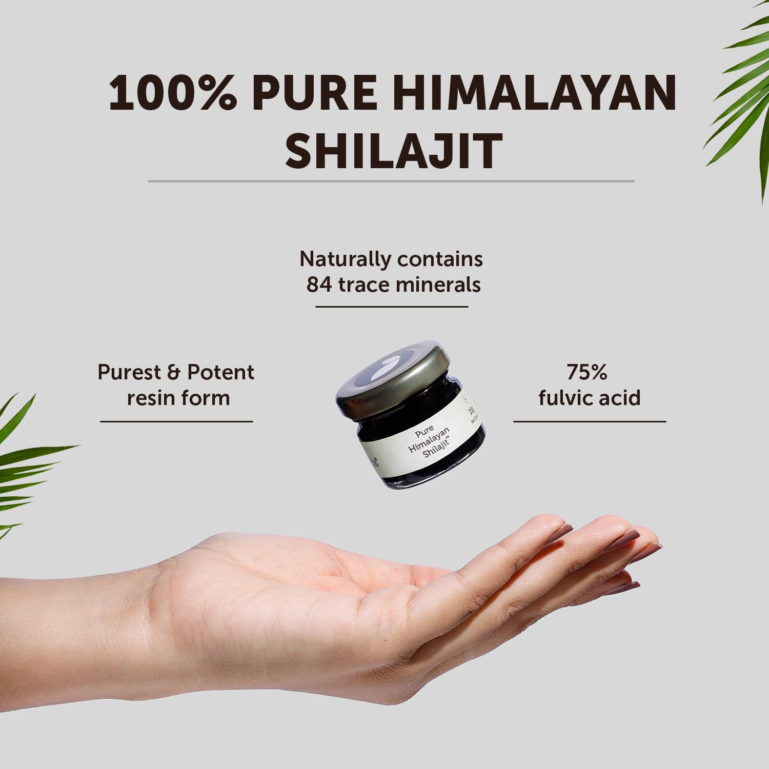 Neuherbs Shilajit - 20g