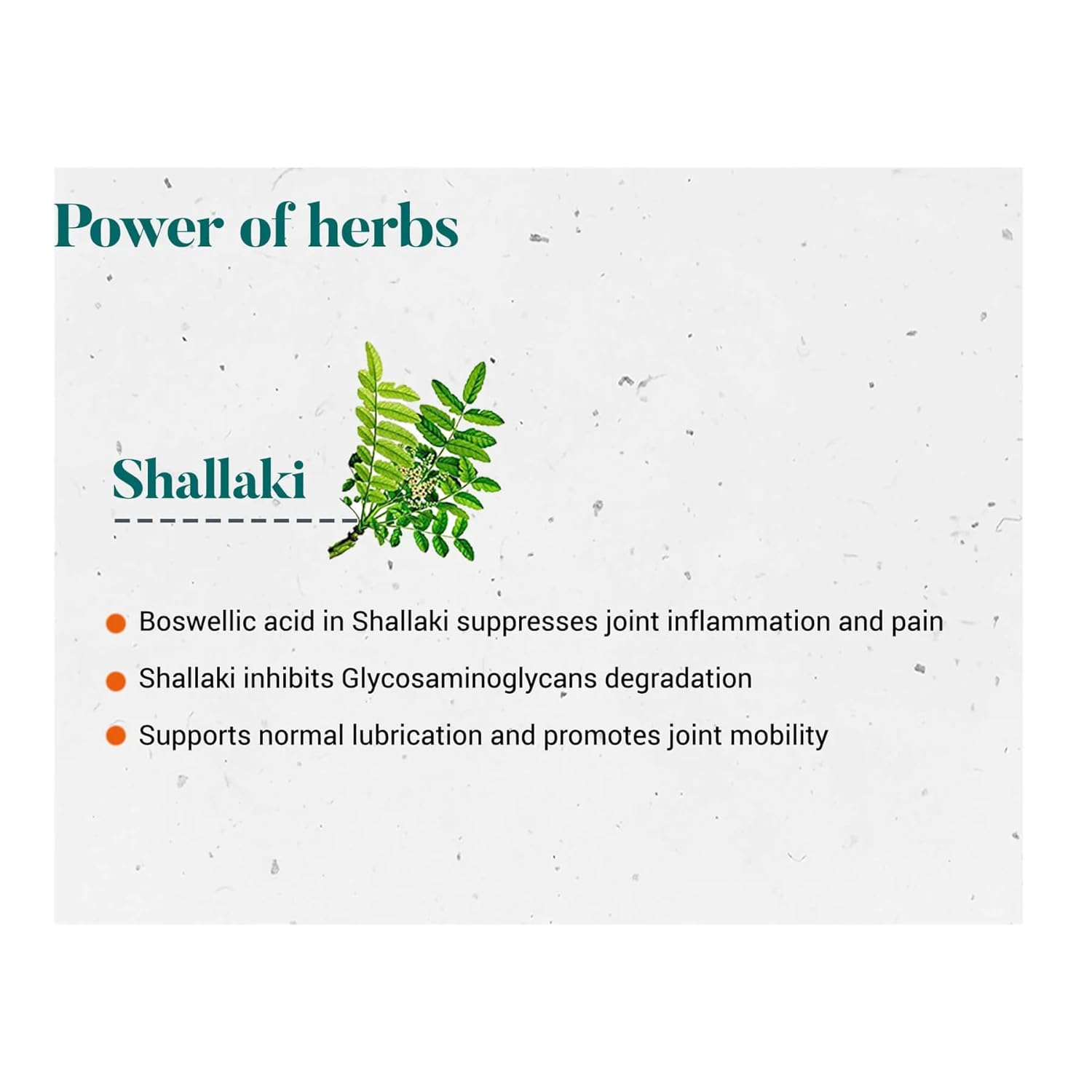 Himalaya Shallaki | Pain and inflammation