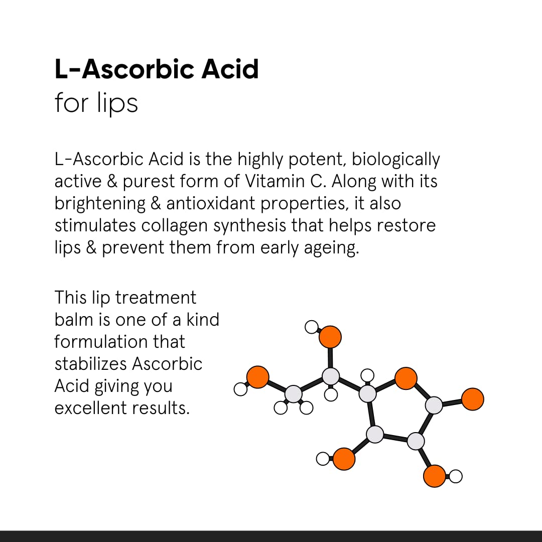 Minimalist Lip Treatment Balm for Pigmented & Dark Lips - 12g