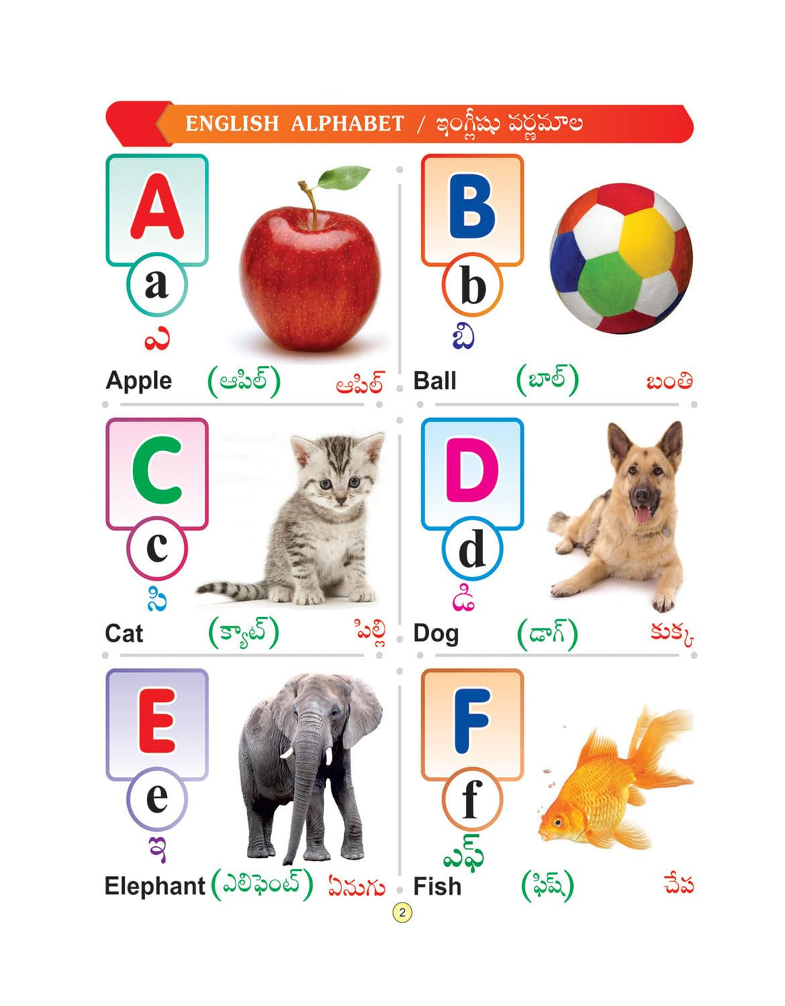 All in One English - Telugu Big Board Book for Kids : Early Learning Picture Book for Childern of Age 2+ Years