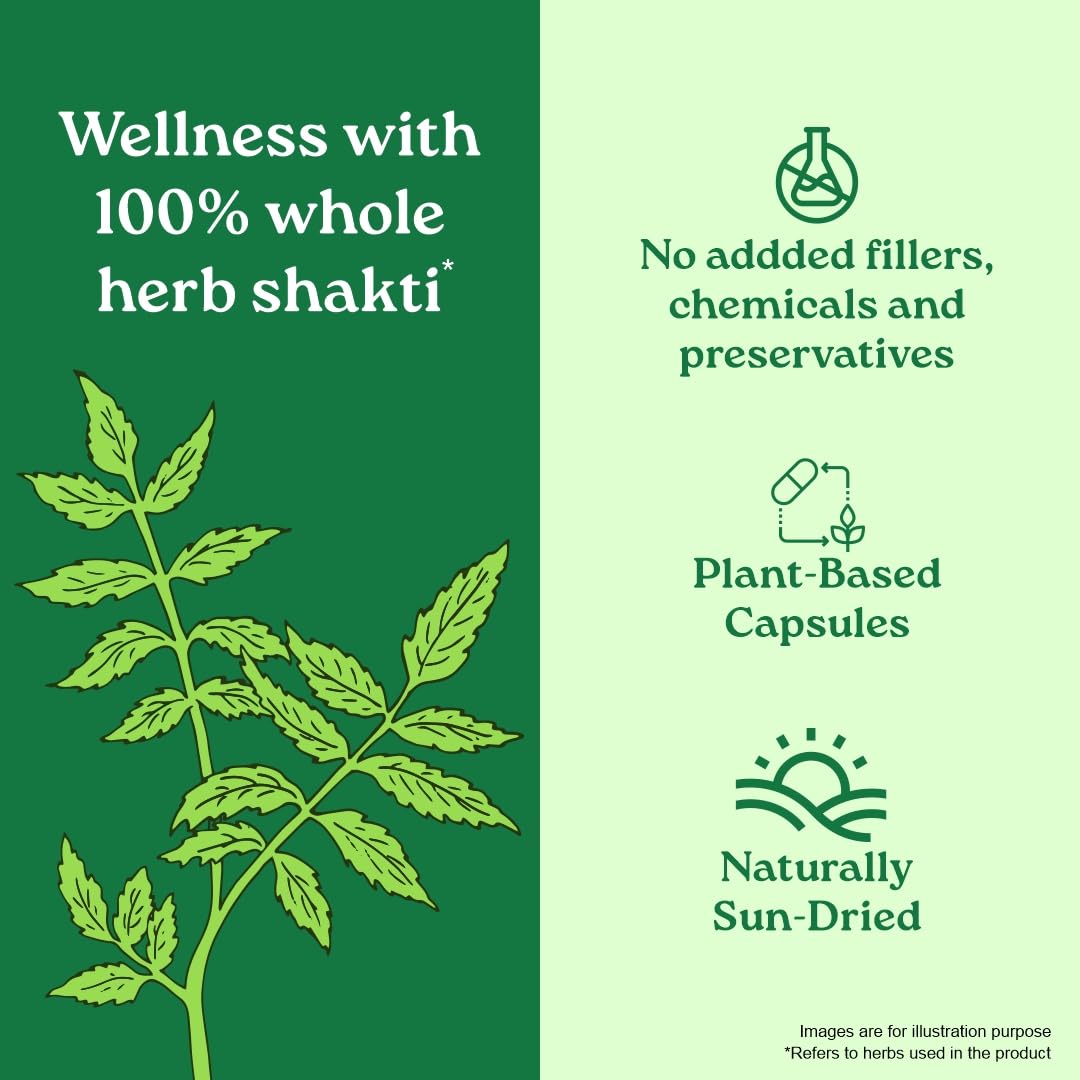 Organic India Neem Blood Purifier - 60 Veg Capsules