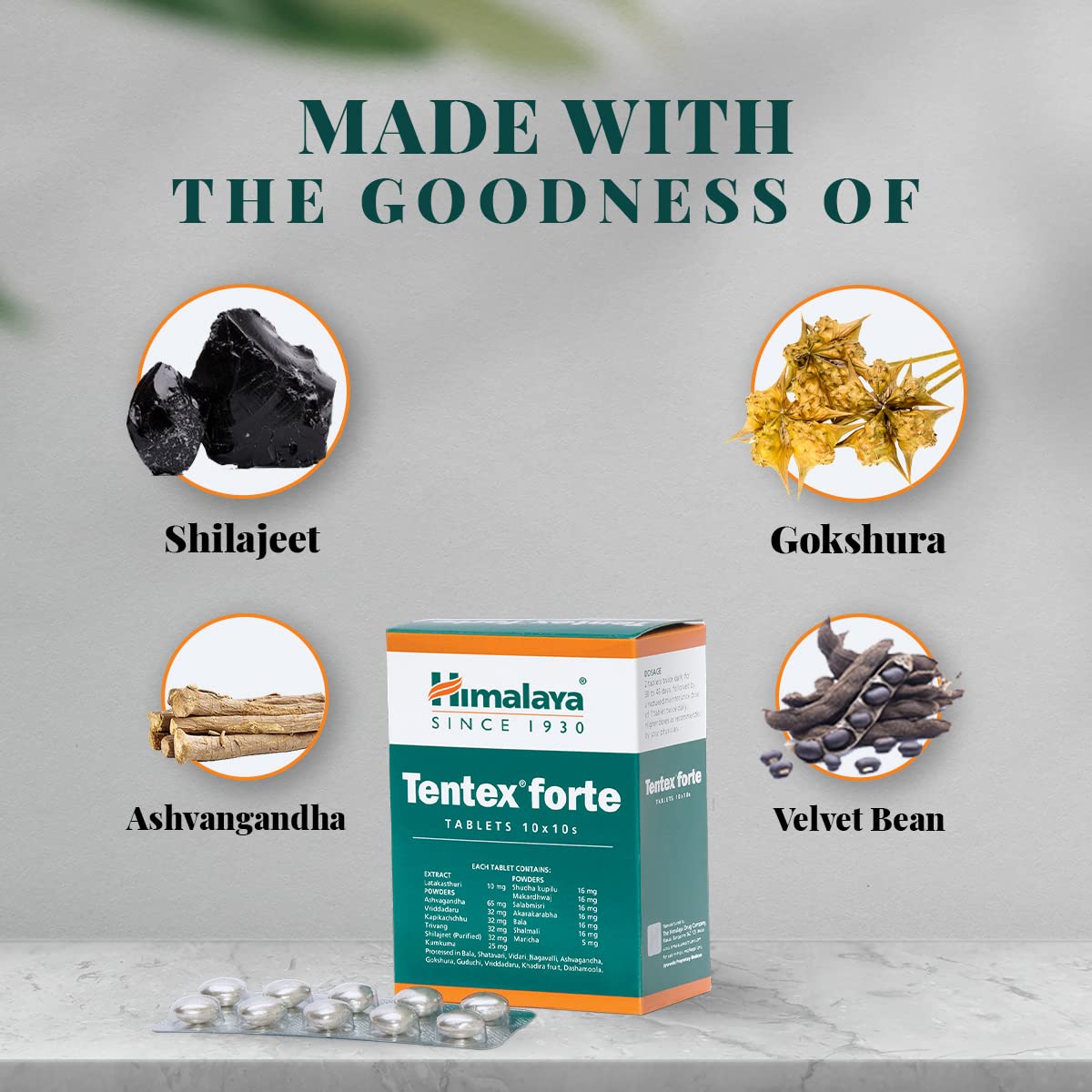Himalaya Tentex Forte Tablets - 100 tablets