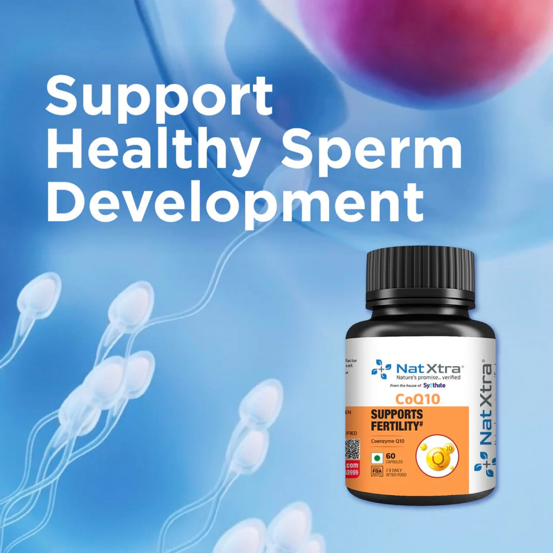 Natxtra CoQ10 | Male Fertility Support  60 Vegetarian Capsules