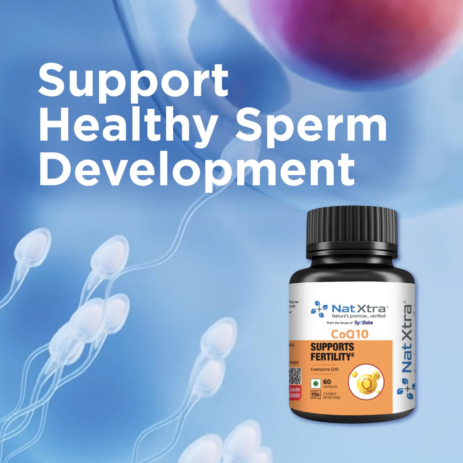 Natxtra CoQ10 | Male Fertility Support  60 Vegetarian Capsules
