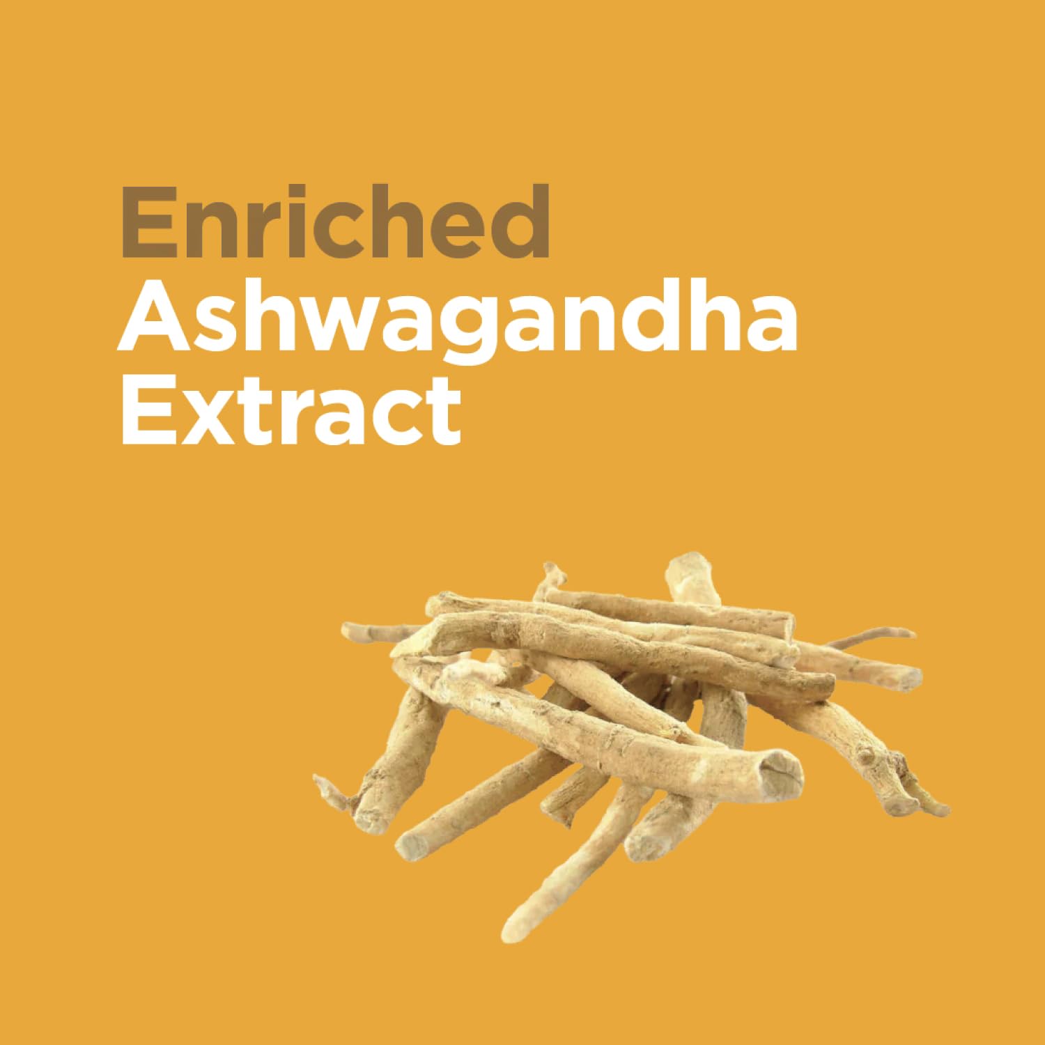 Natxtra Ashwagandha-DSTR  30 Vegetarian Capsules