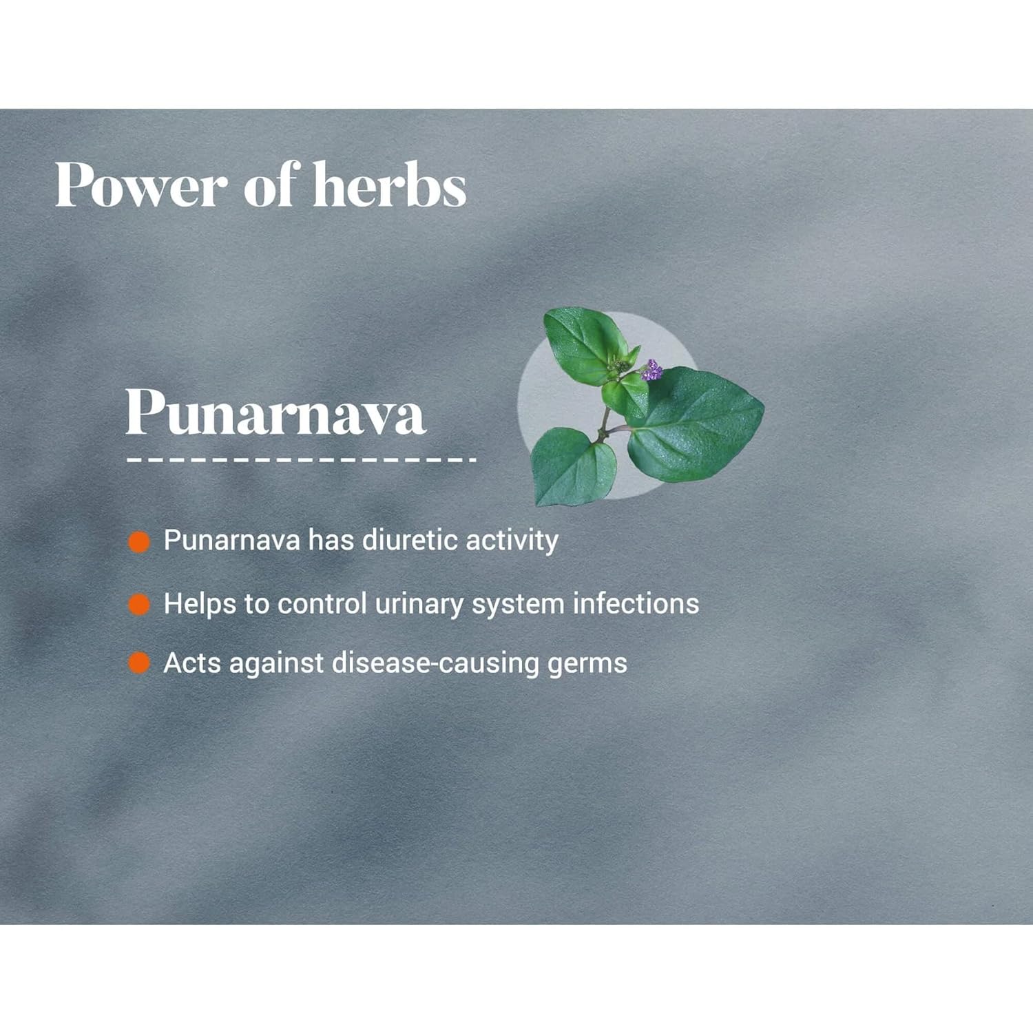 Himalaya Punarnava Tablets - 60 Count