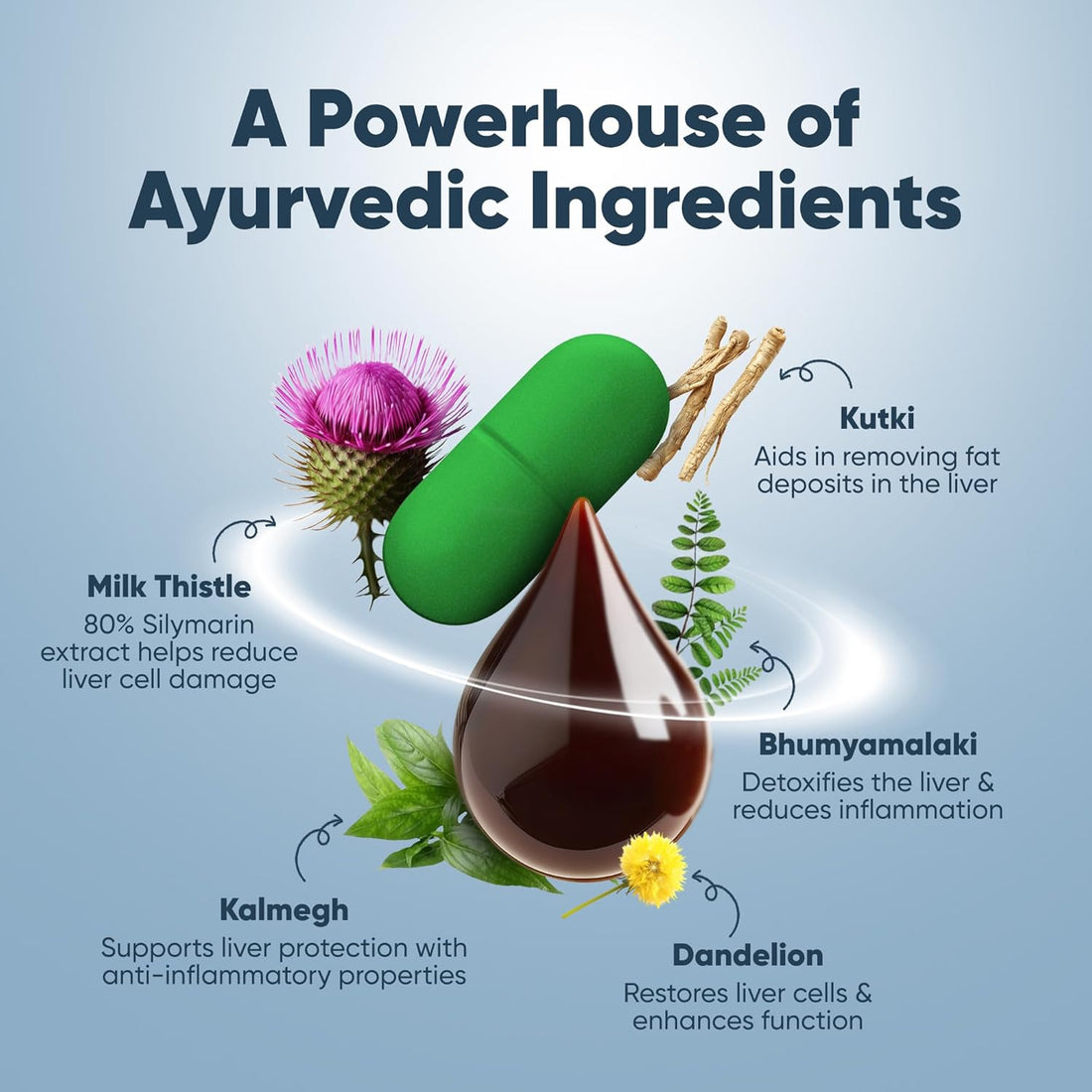 Dr. Vaidya’s Potent Liver Care Combo