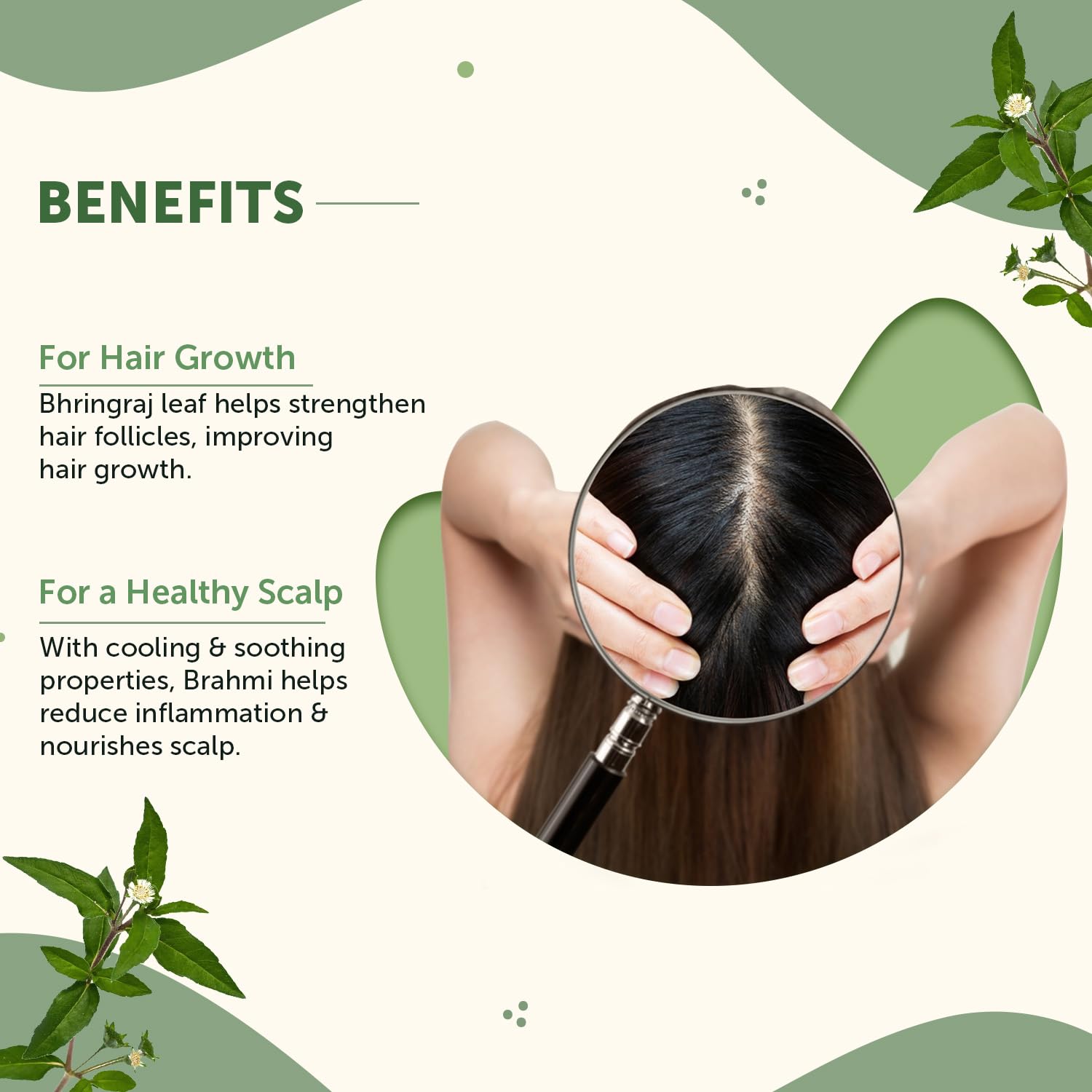 Neuherbs Bhringraj Powder For Hair Growth - 100g