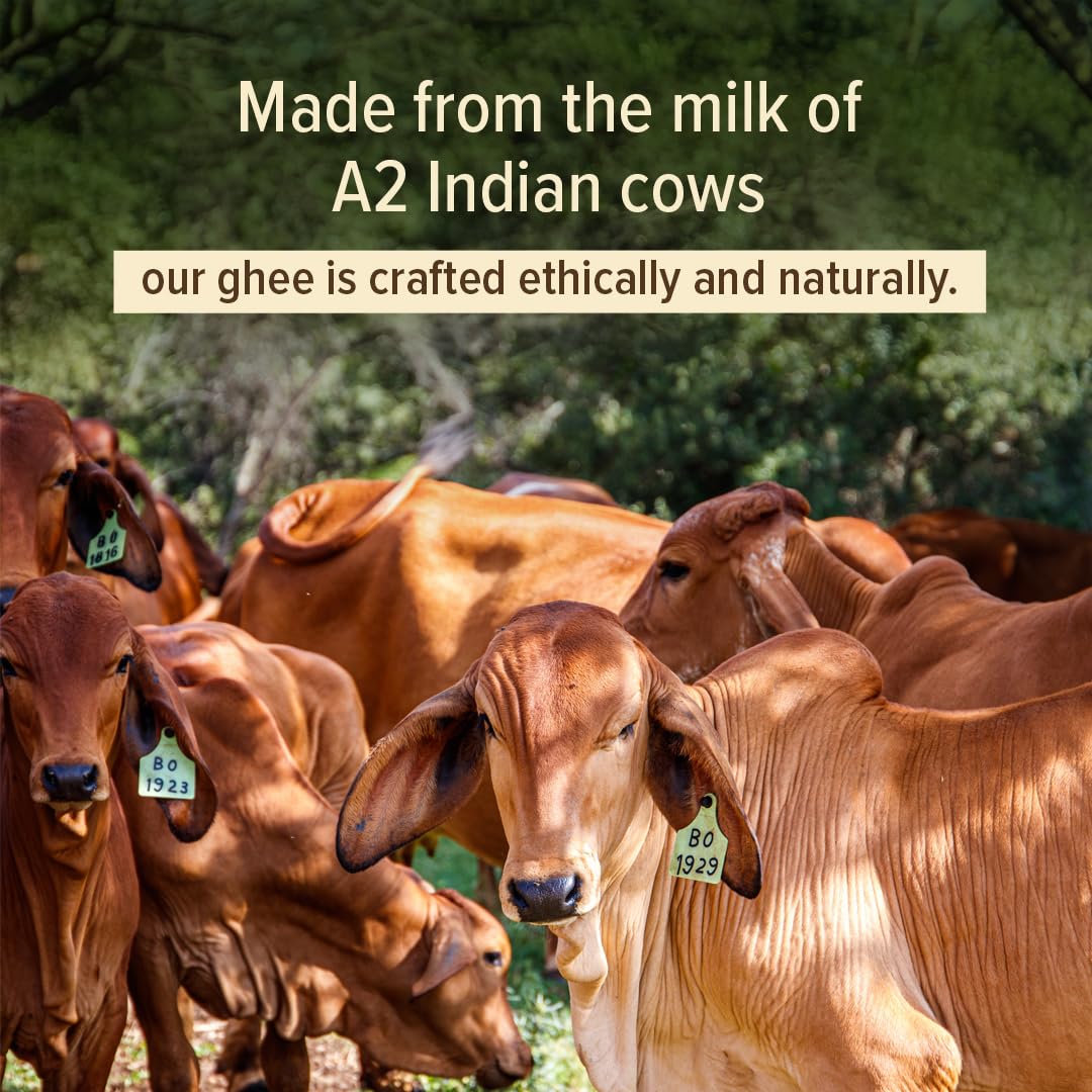 Conscious Food A2 Desi Cow Ghee | 1L | 100% Pure and Premium