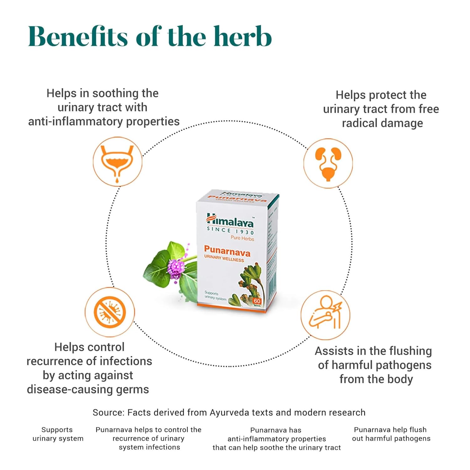 Himalaya Punarnava Tablets - 60 Count