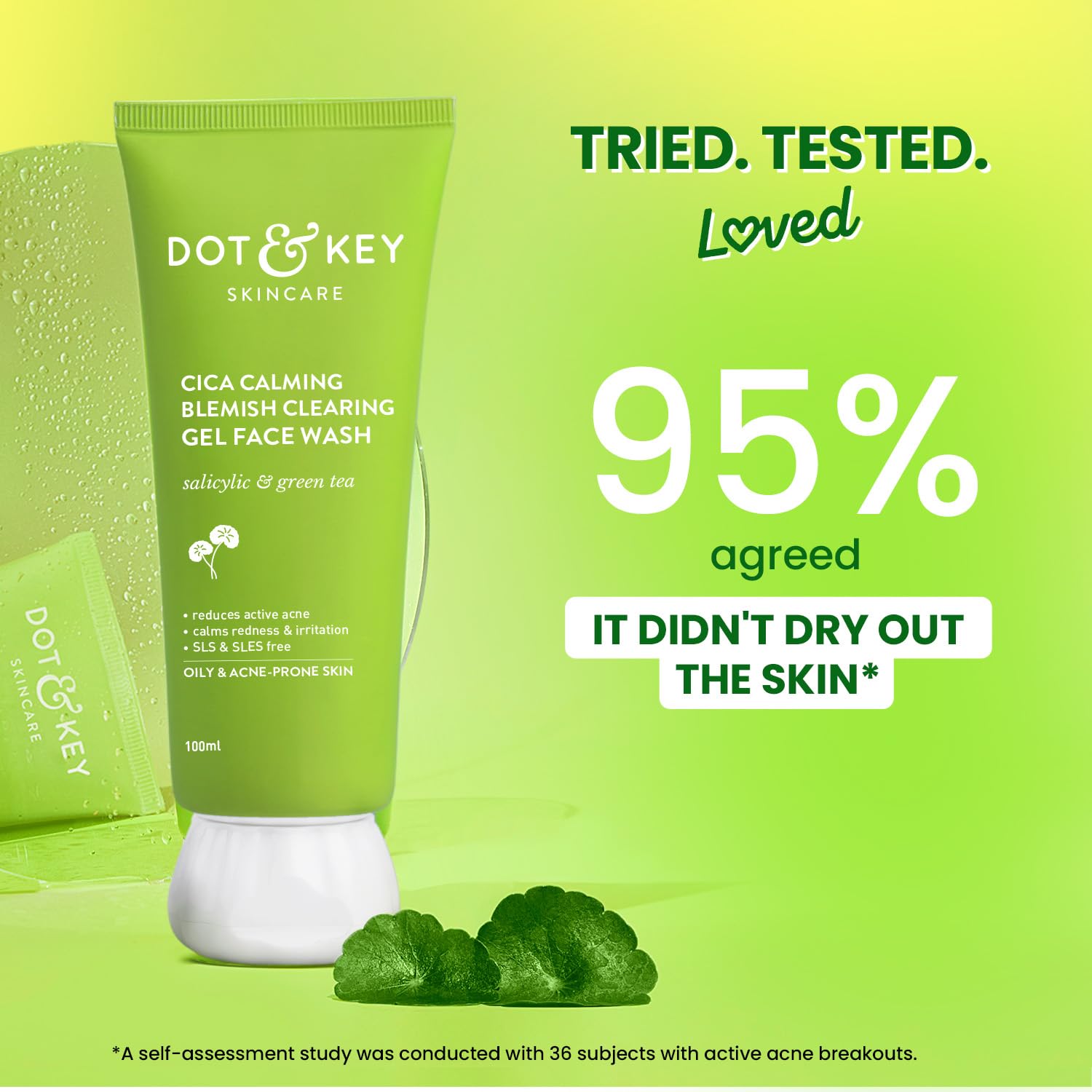 Dot & Key CICA Face Wash for Acne Prone Skin, 2% Salicylic Acid with Green Tea