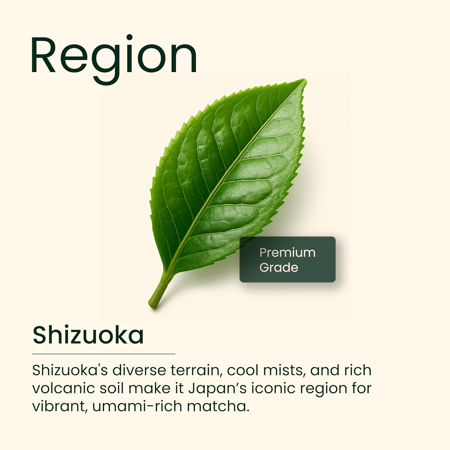 Heapwell Superfoods Japanese Matcha Green Tea Powder, 50 Grams (30 Servings) | Sourced From Shizuoka, Japan