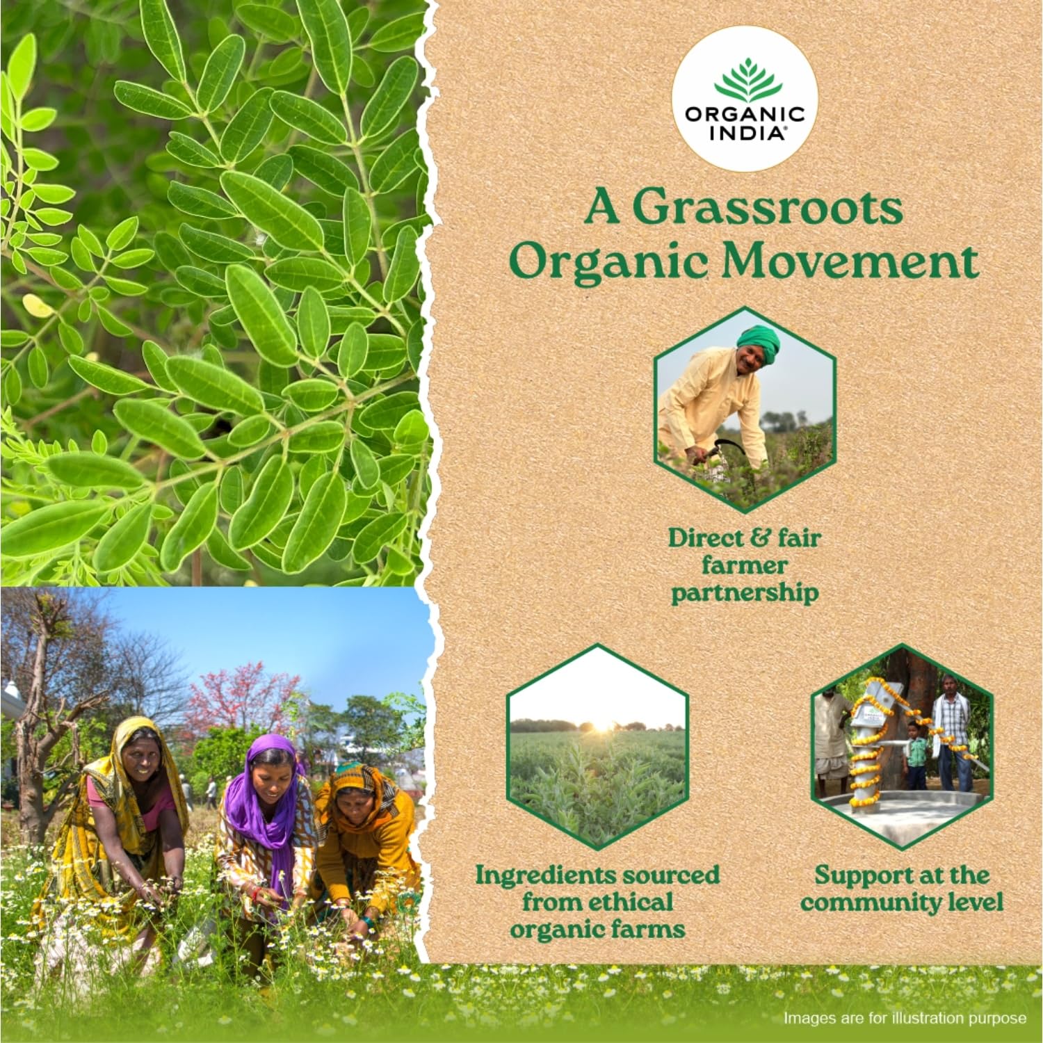 TATA Product - Organic India Moringa 60 Capsules