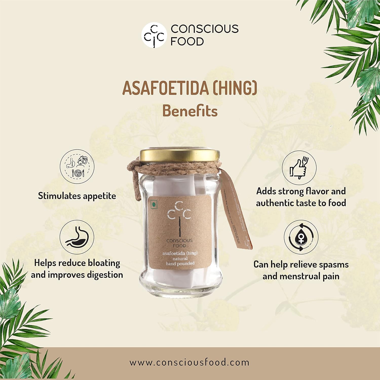 Conscious Food Asafoetida, 10 Gram- Powder