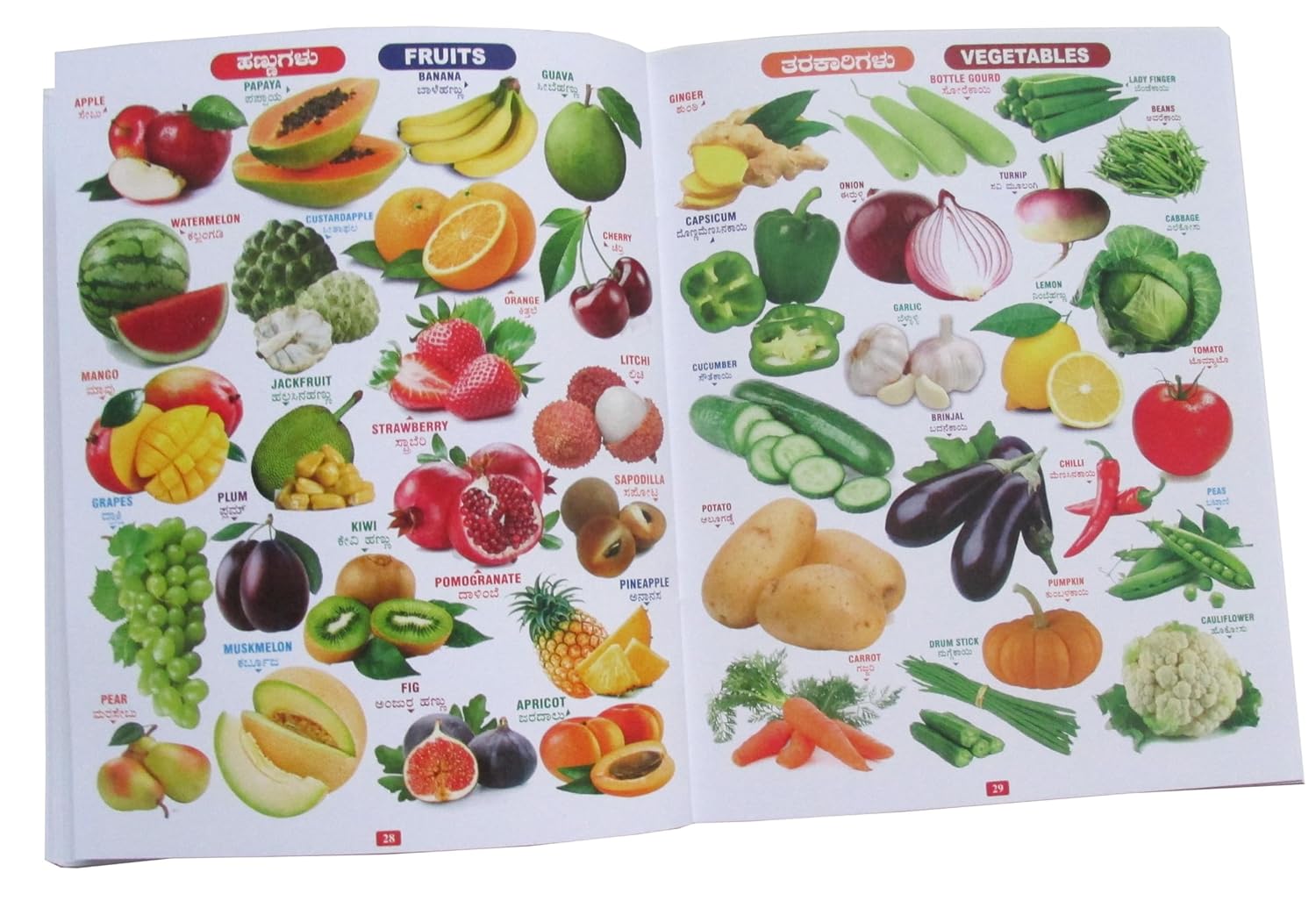 Shyamaraj All-in-One English-Kannada-Hindi Varnamaale Learning Book for Kids