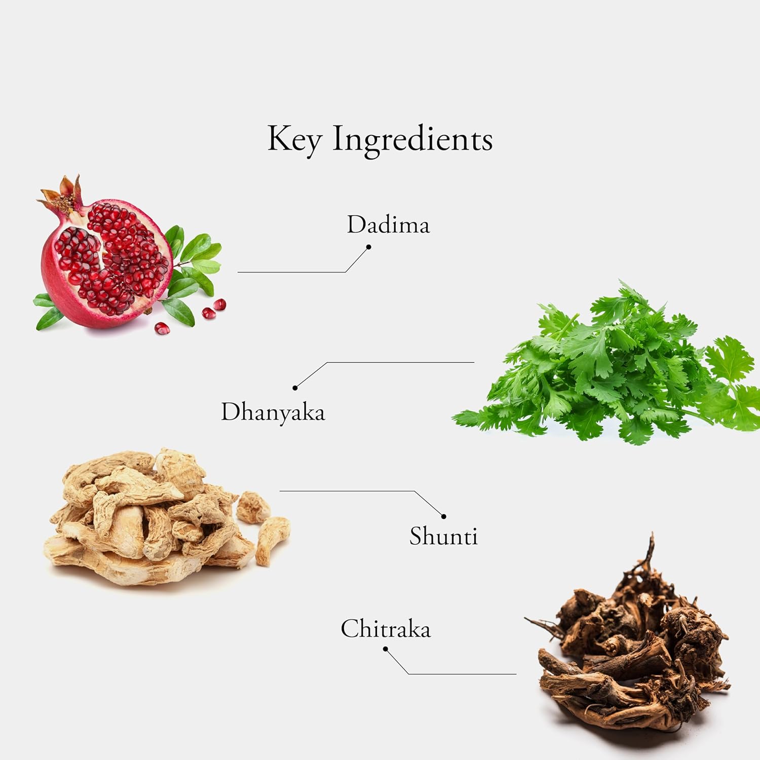 Sitaram Ayurveda Dadimadi Ghritham (150 gm)