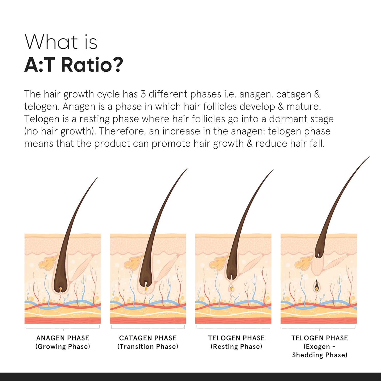 Minimalist Hair Growth Serum With 3% Redensyl, 3% Anagain, 3% Procapil, 5% Capixyl & 4% Baicapil 18% Hair Growth Actives|30 ml